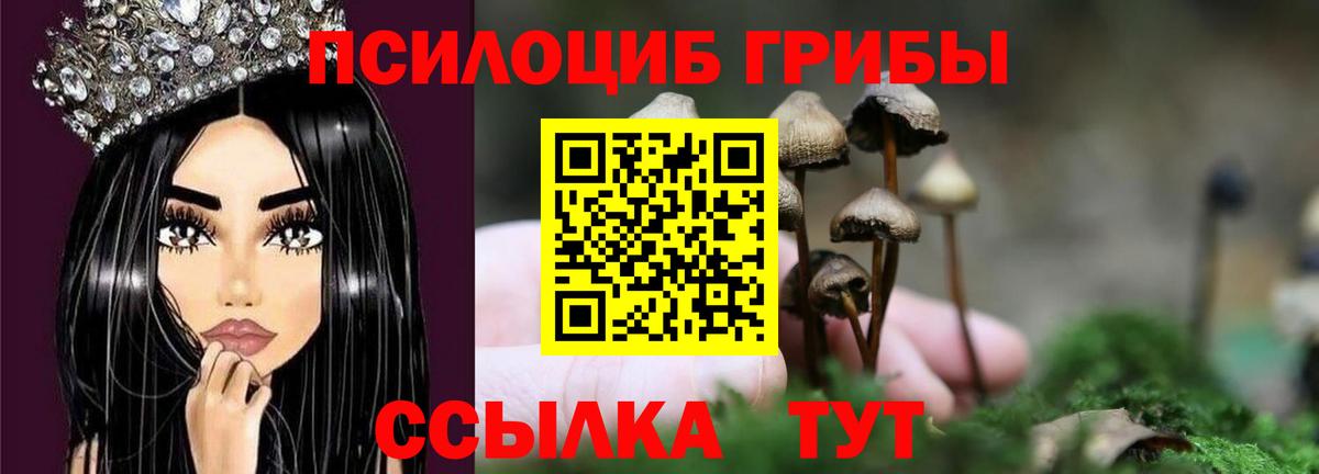Печора  Псилоцибиновые грибы Cubensis  Вход с VPN 